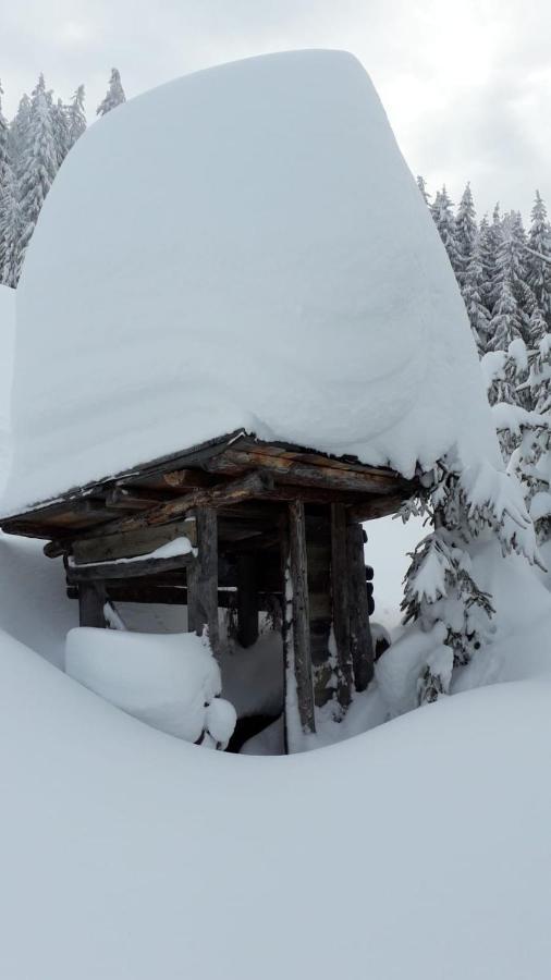 Haus Hoellwart Sankt Johann im Pongau Esterno foto